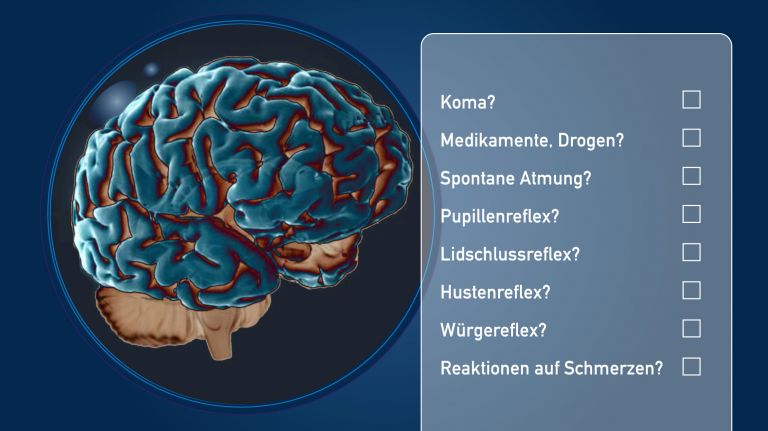 Wie Lange Lebt Das Gehirn Nach Dem Tod Weiter